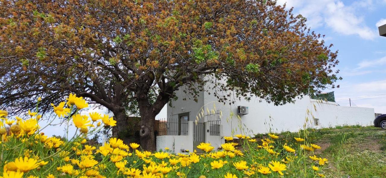 העיירה קוס Traditional Suburbs Maisonette מראה חיצוני תמונה